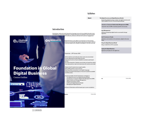 Foundation in Global Digital Business 